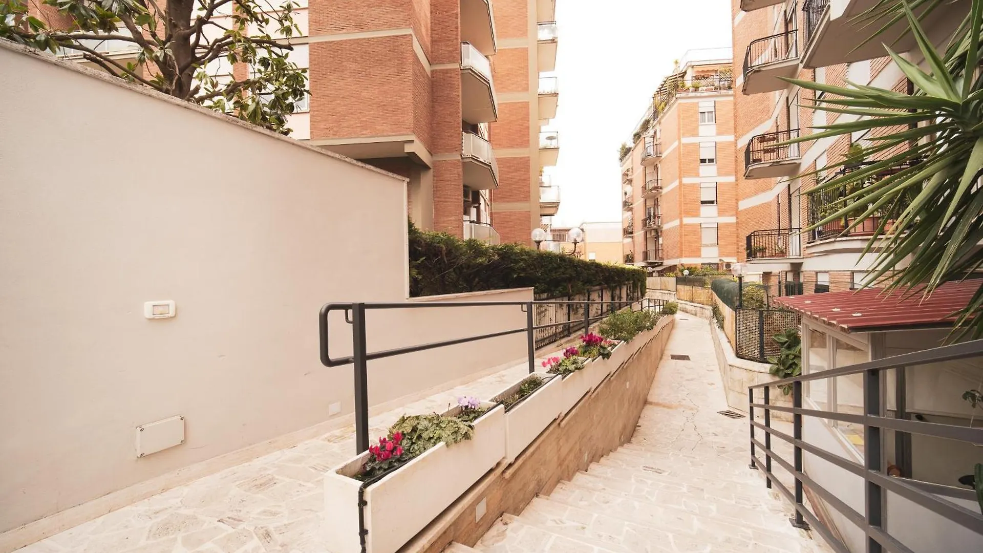 Green Hill Buddyrent'S Rome